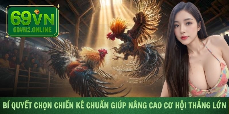Bí quyết chọn chiến kê chuẩn giúp nâng cao cơ hội thắng lớn
