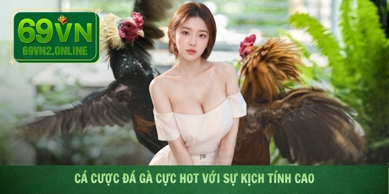 Cá cược đá gà cực hot với sự kịch tính cao