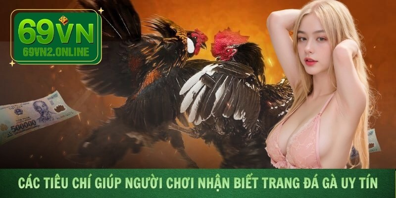 Các tiêu chí giúp người chơi nhận biết trang đá gà uy tín