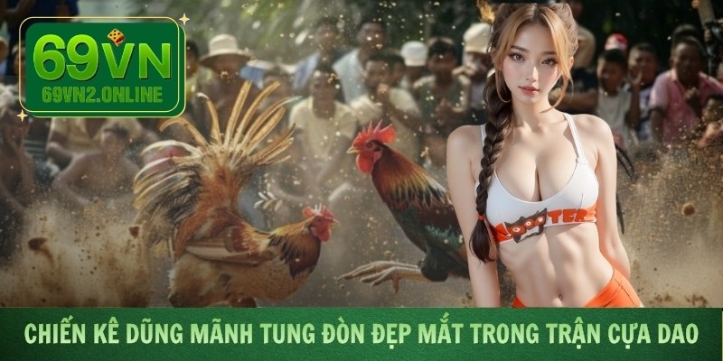 Chiến kê dũng mãnh tung đòn đẹp mắt trong trận cựa dao