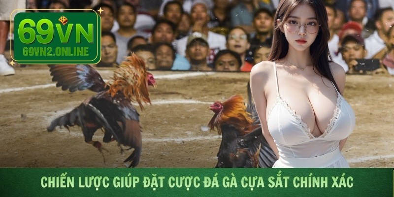 Chiến lược giúp đặt cược đá gà cựa sắt chính xác