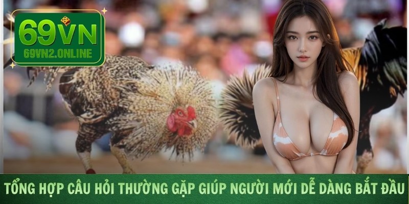 Tổng hợp câu hỏi thường gặp giúp người mới dễ dàng bắt đầu
