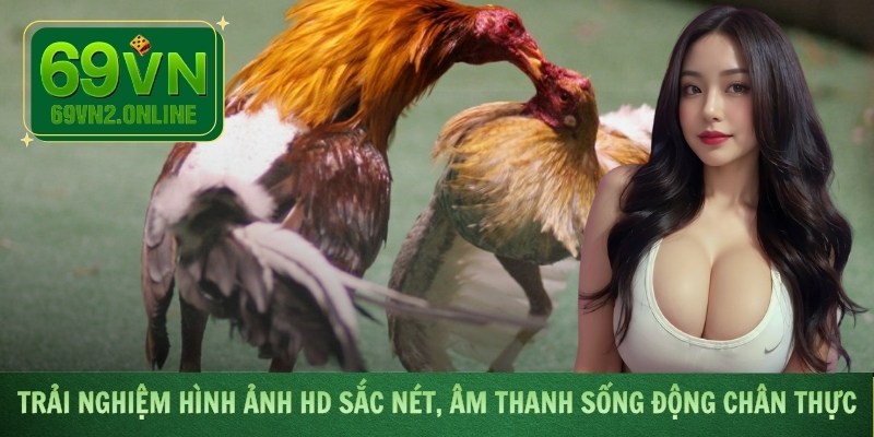 Trải nghiệm hình ảnh HD sắc nét, âm thanh sống động chân thực